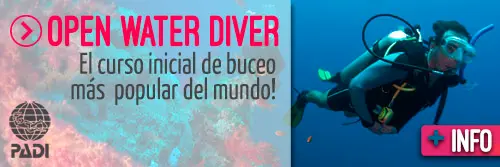 Open Water Diver - El curso inicial de buceo mas popular del mundo